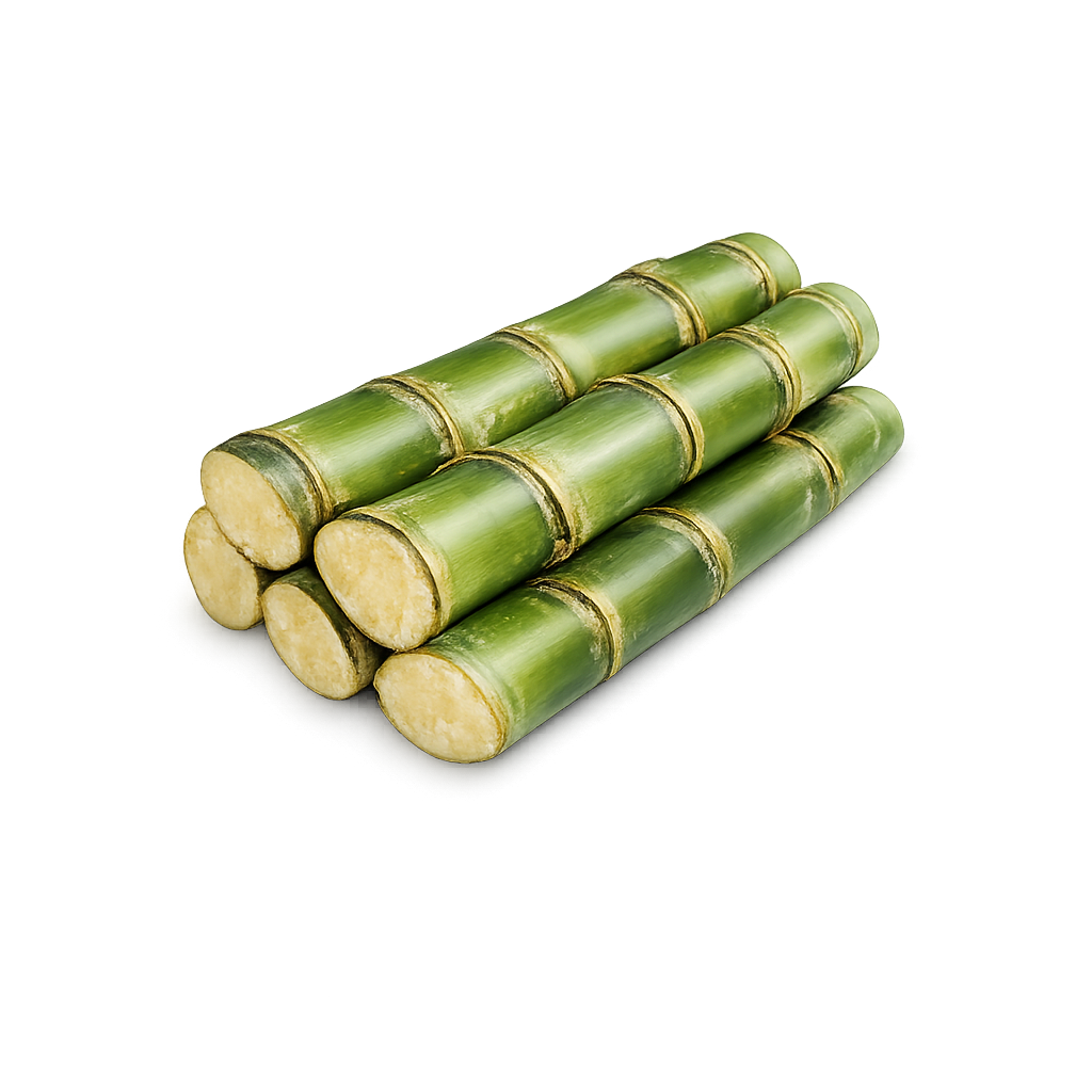 *IN SEASON* Organic sugar cane sticks | 1 pound | Thermal shipping protection