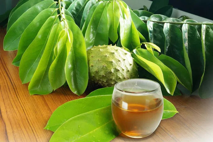 Organic soursop leaves | 1 ounce bag | All natural and pesticide free